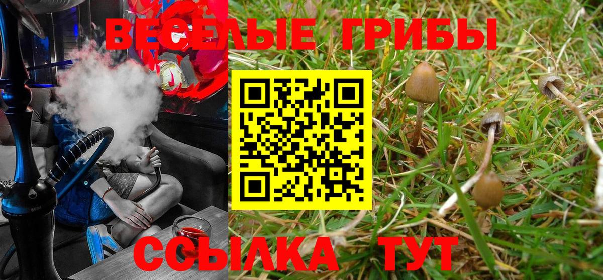 Псилоцибиновые грибы Cubensis  Вход с VPN  Галлюциногенные грибы Magic Shrooms  купить наркоту  Тосно 