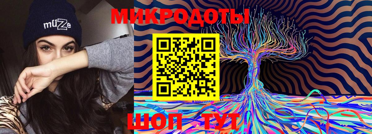 Псилоцибиновые грибы Cubensis Тосно